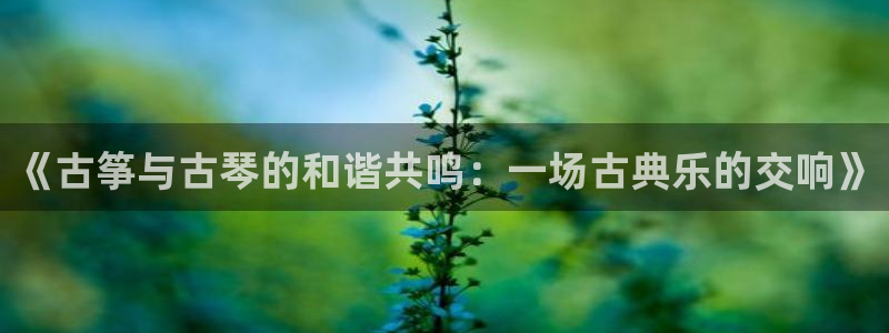 凯发平台开户：《古筝与古琴的和谐共鸣：一场古典乐的交响》