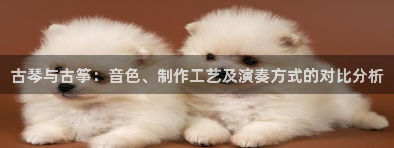 凯发国际真人：古琴与古筝：音色、制作工艺及演奏方式的对比分析
