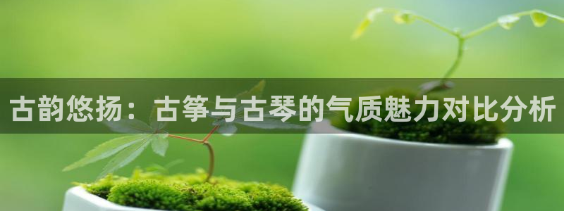 凯发国际真人