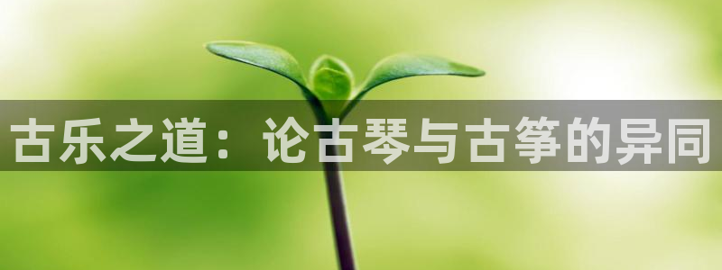 凯发k8娱乐平台能提现吗