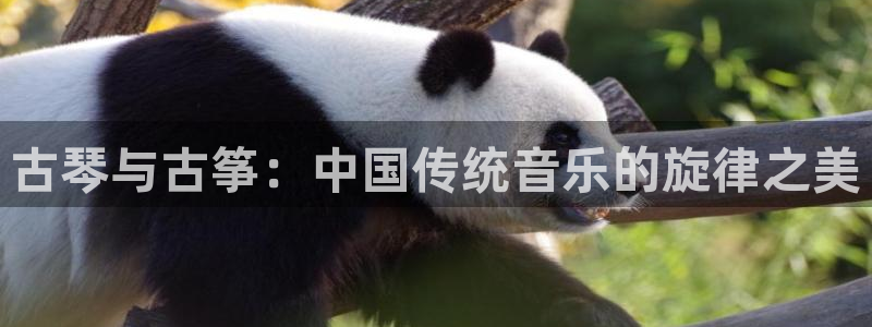 凯发官网|认准kpm