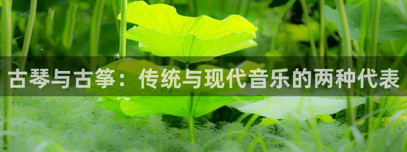 凯发娱网址是什么