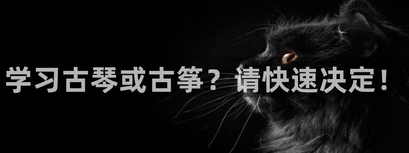 凯发k8娱乐官网网址中心