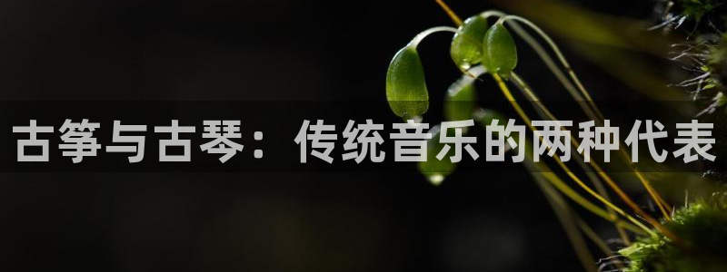 凯发k8国际娱乐版