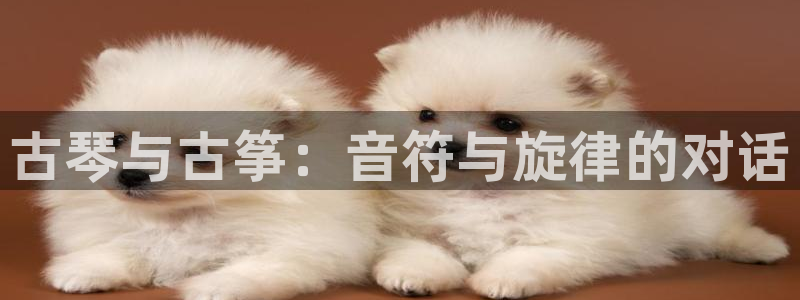 凯发国际app下载