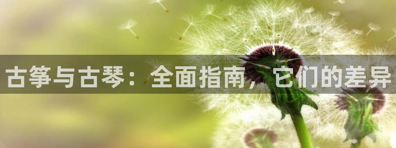 凯发国际平台首页：古筝与古琴：全面指南，它们的差异