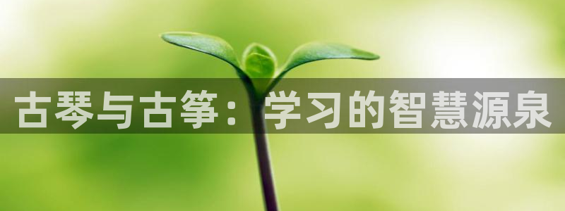 凯发k8旗舰厅app下载可靠送38元：古琴与古筝：学习的智慧